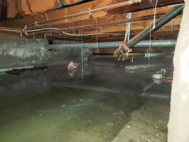 Best Flooded house restoration  in Groveport, OH