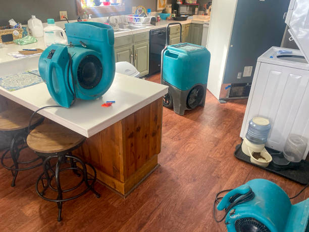 Best Residential water damage restoration  in Groveport, OH