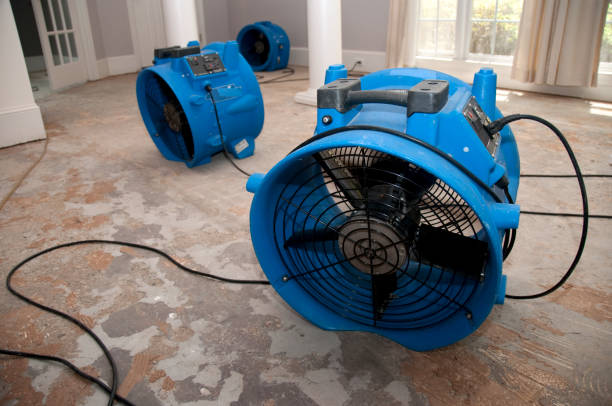 Best Fire Damage Restoration  in Groveport, OH
