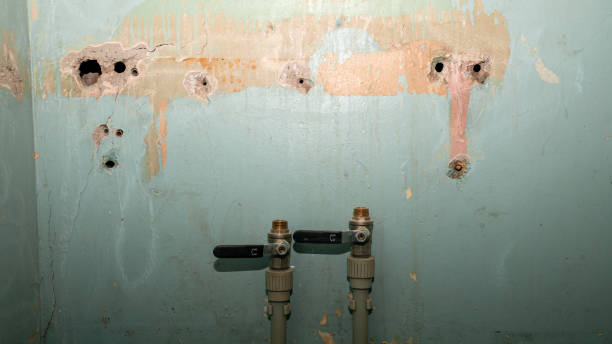 Best Professional water damage repair  in Groveport, OH