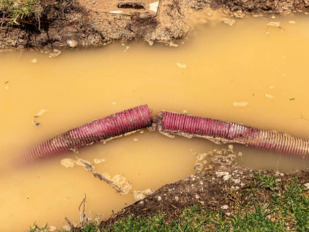 Best Local water damage restoration  in Groveport, OH